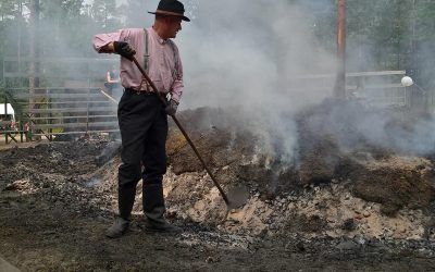 Tervaa tieteellisesti